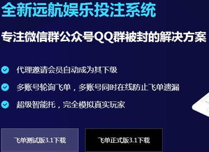 東莞正規公司精品站服務 提升您的互聯網信息服務體驗